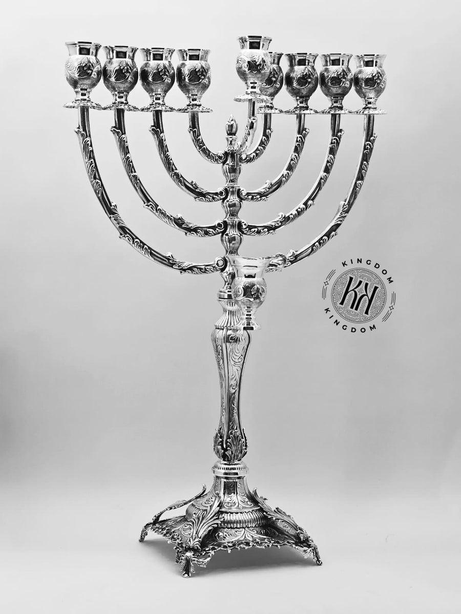 Rio Menorah Chased
